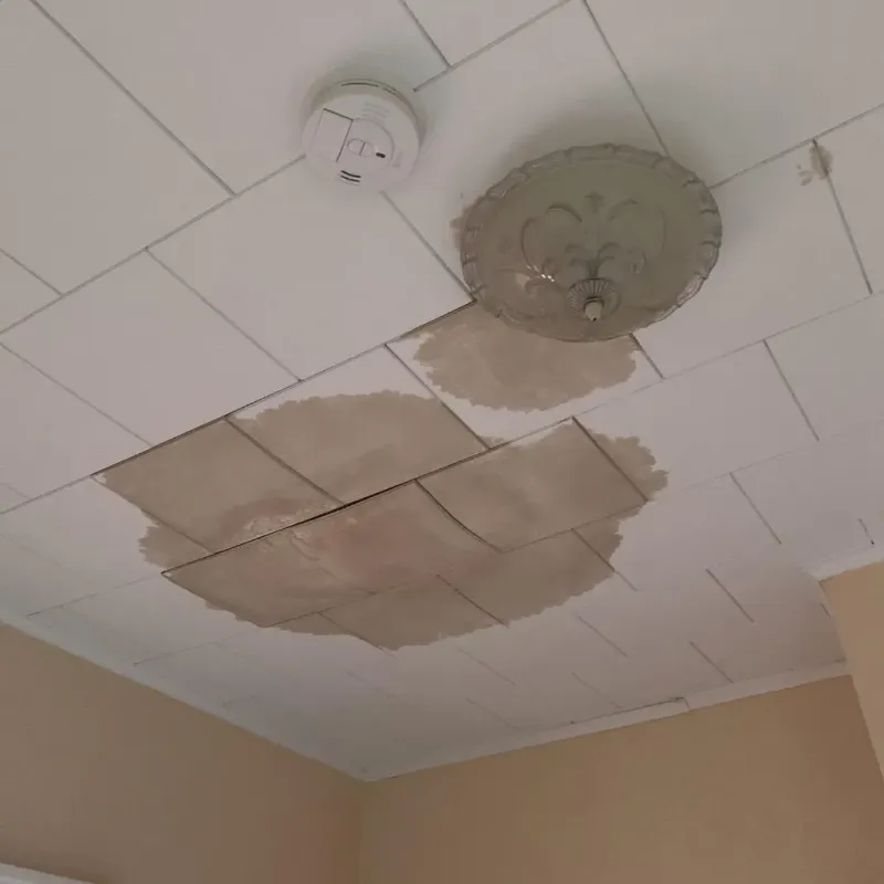 Ceiling Water Damage Repair in Ovid, MI