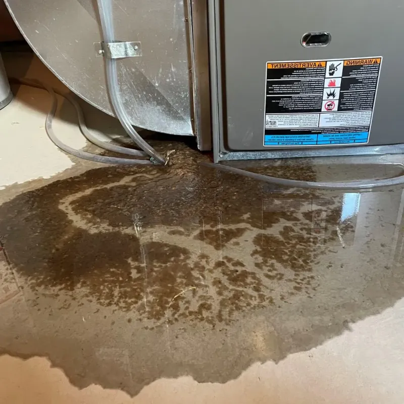 Pipe Burst and Leak Restoration in Ovid, MI