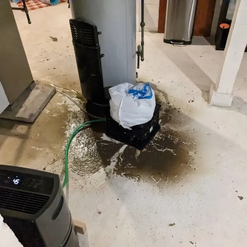 Sewage Backup Cleanup Service in Ovid, MI
